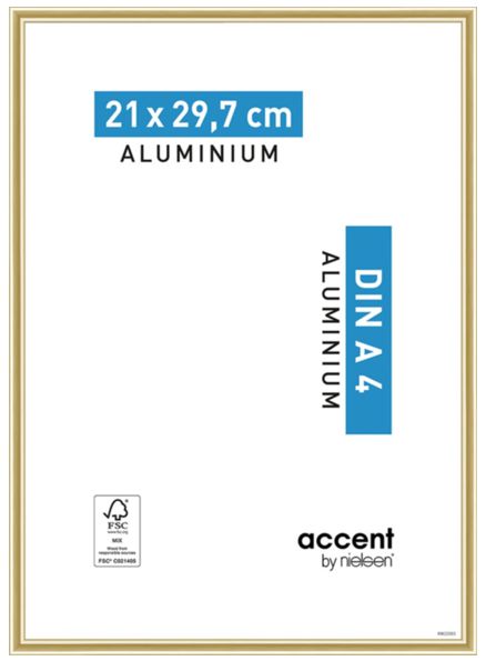 Accent frame 21x29,7 cm A4 gold