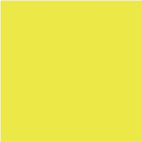 Promarker Neon luminous yellow